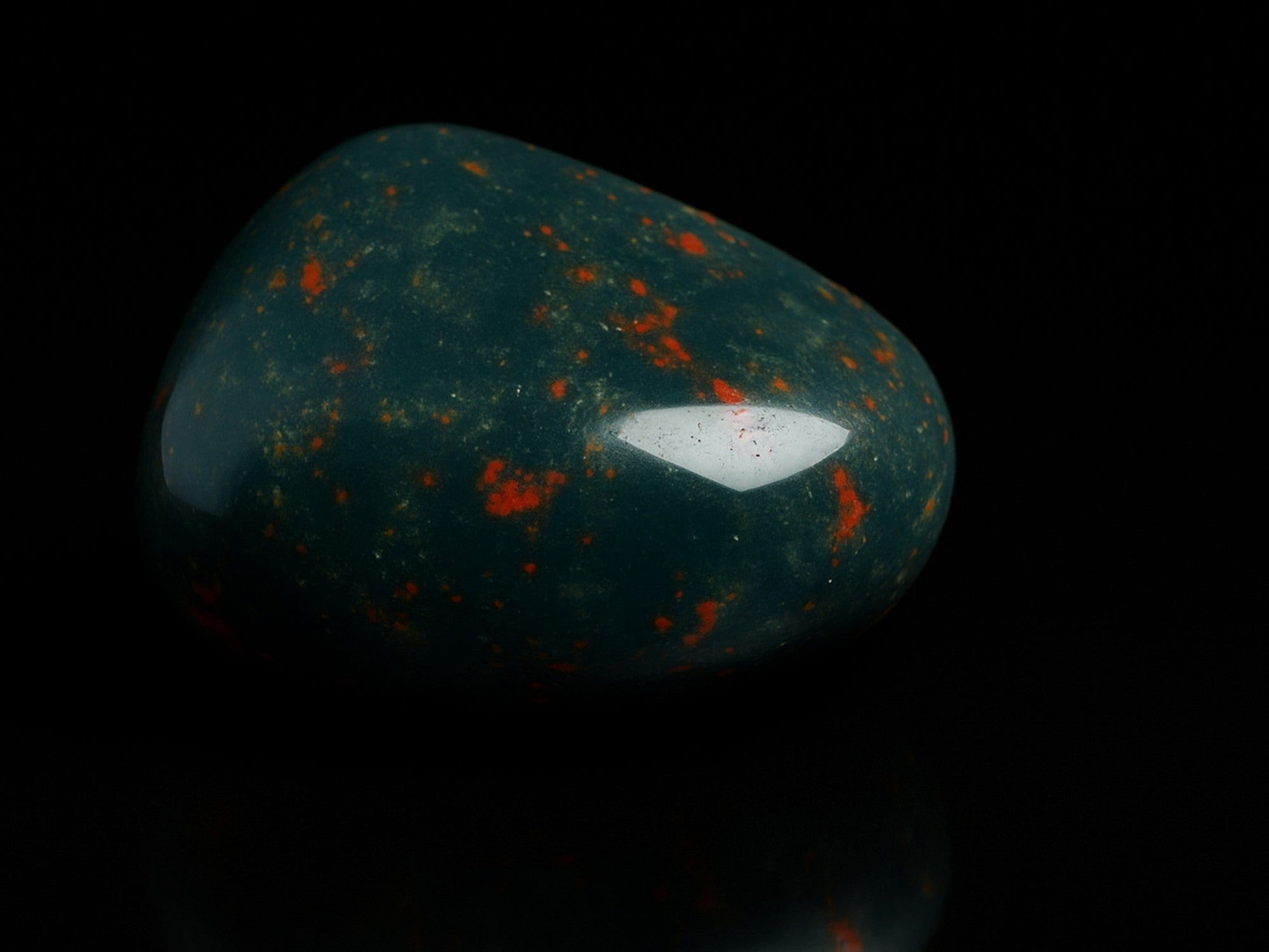 Ein Bild von Heliotrop