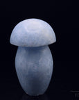 Natürlicher Blauer Calcit, Heilstein für meditative Klarheit, blaue Form.