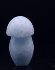 Blauer Calcit Heilstein, fördert spirituelle Ruhe, blaue natürliche Struktur.