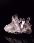 Brandbergamethyst Strahlend