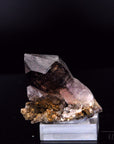 Strahlender Brandbergamethyst, fördert meditative Harmonie, violette strahlende Kristalle.