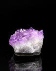 Hochwertiger Amethyst Kristall, fördert intuitive Klarheit, violette glänzende Kristalle.